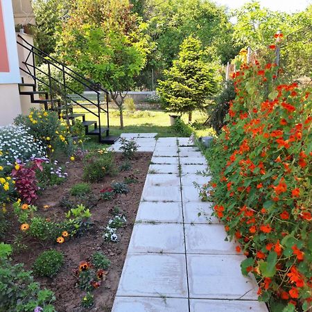 Alepou The Garden House Corfu 아파트 외부 사진